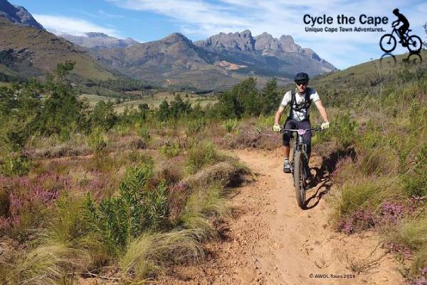 guided bike tours cape town
